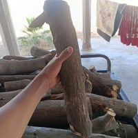 ستوتات • خشب تفاح • درجة اولى
