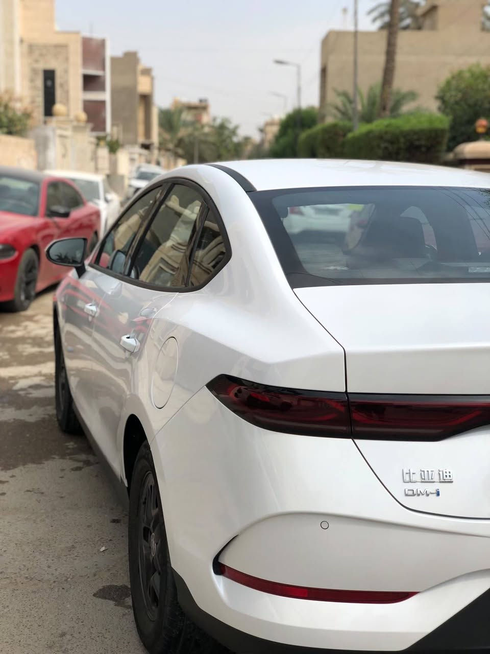 جن بلاص • ٢٠٢٥ • رقم بغداد
