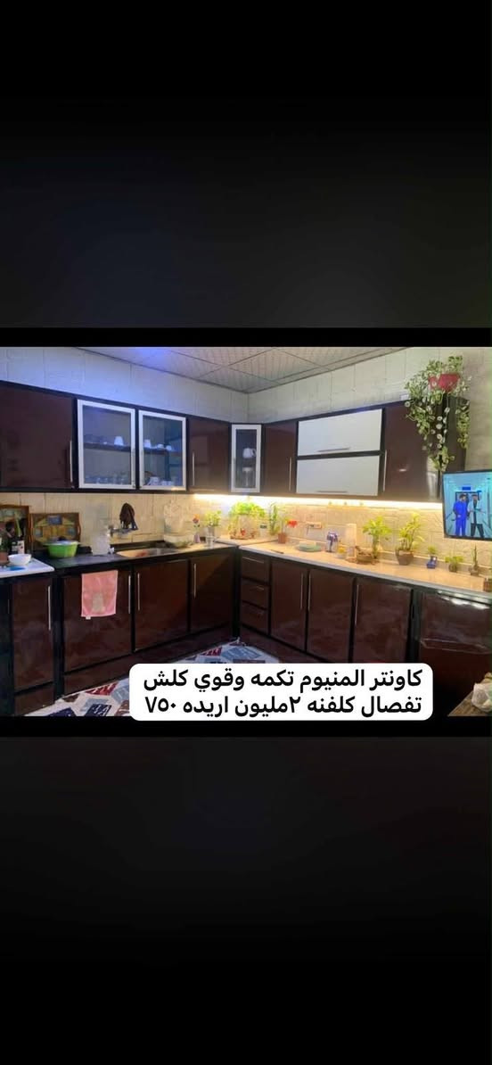 واشنطونيا • كاوية اينزو • دراجة شحن