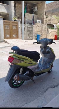 سكنس فحل • كوري • درجة ٥٨
