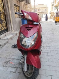 سكنس فحل • كوري • نوزل حديث