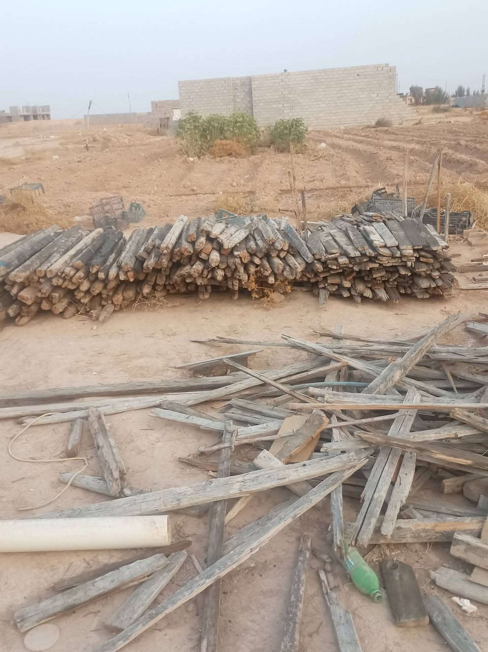 قالب خشب • ٢٠٠م • قضاء العلم