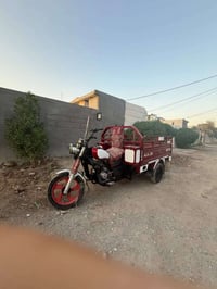 ستوتة • ام طير • ٢٠١٨