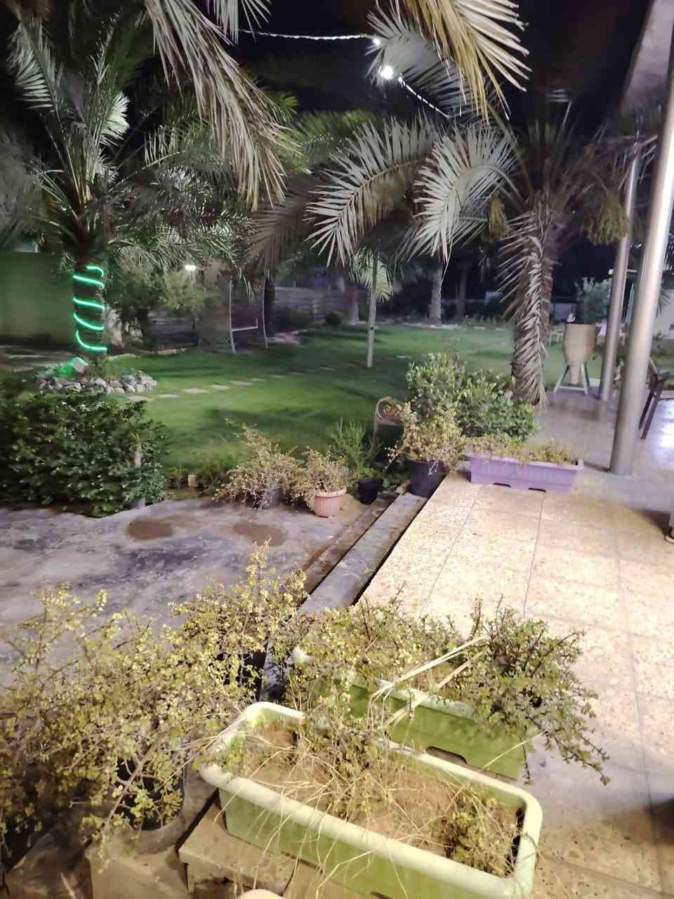 توجد مزرعة في منطقة ركية وفاضل طابو صرف
 مساحة ( 3 دوانم ) للبيع
للتواصل والاستفسار الاتصال على الارقام التالية
*********** / ***********

