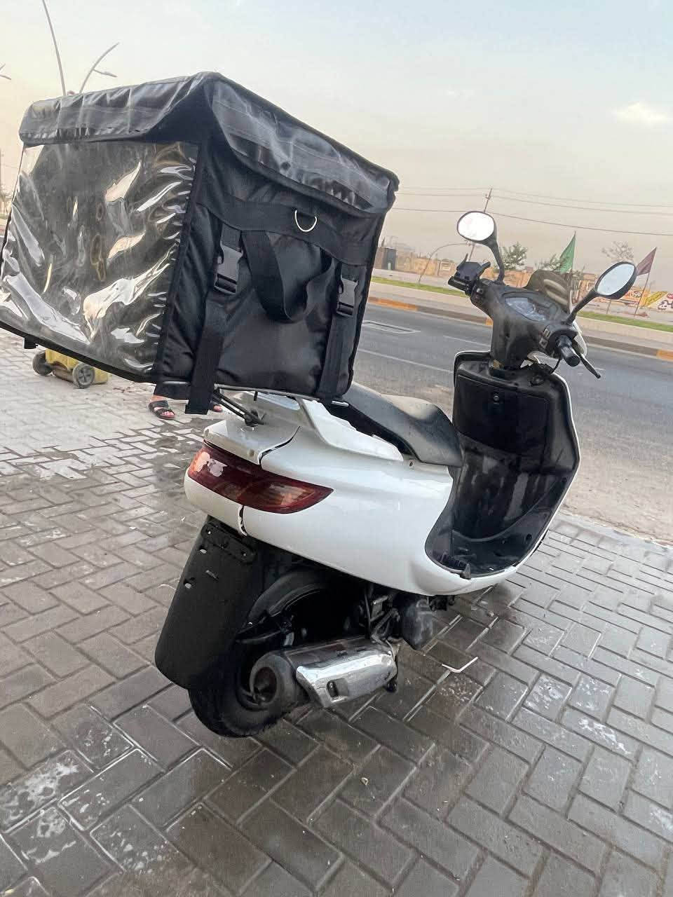فراشة • فحل • جديدة