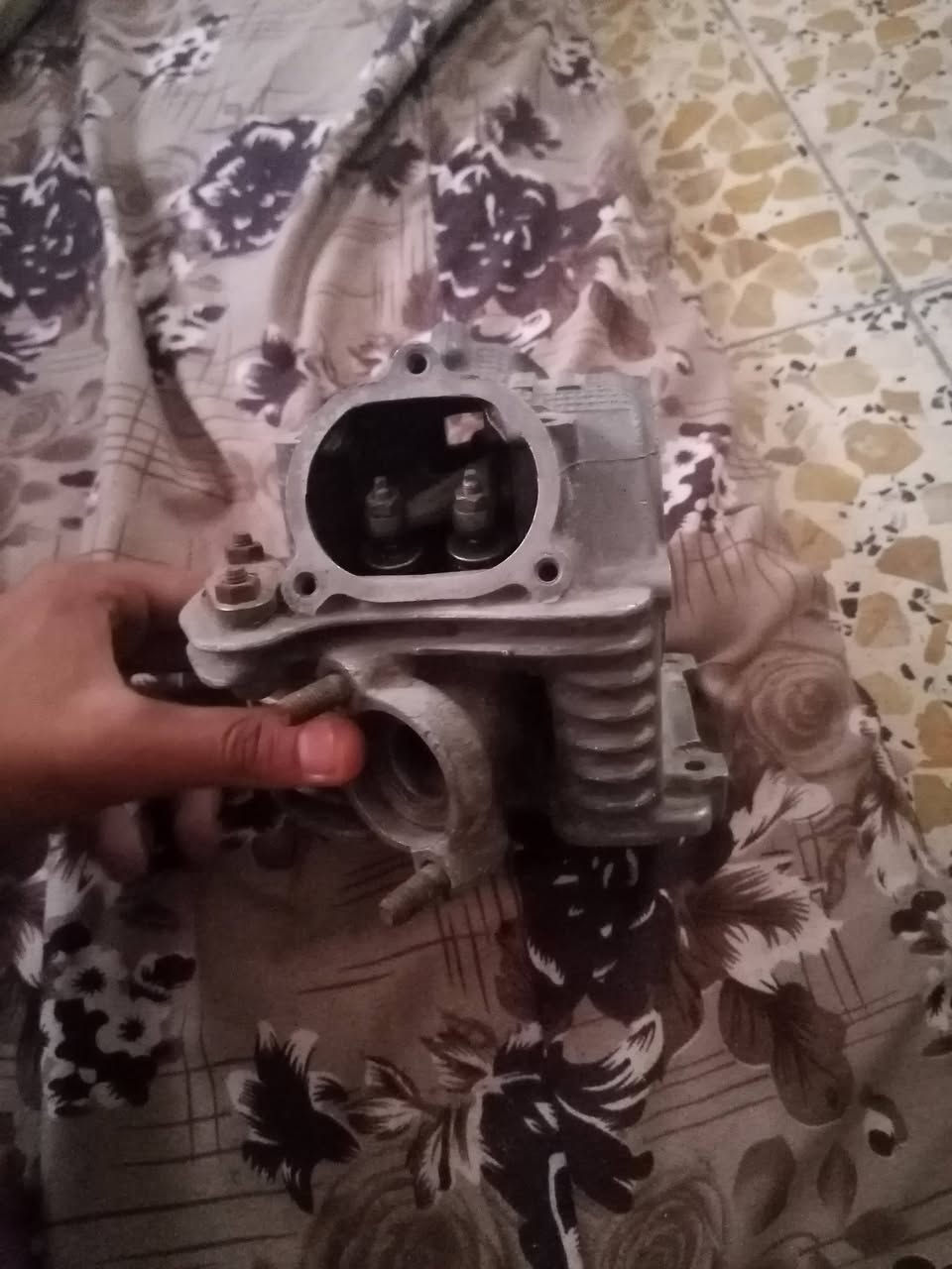 شاصي • سكنس • الكريعات