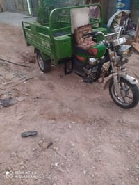 ستوته ٢٣ • مكفول • قوية