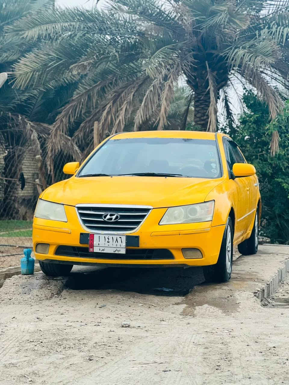سوناتا • ٢٠١٠ • رقم ديالى