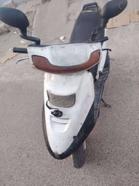 فراشه • شغاله • اشاير