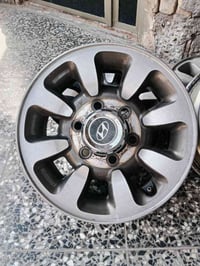 تخم ويل 15 سته ستدات للبيع أو مراوس السعر 175 بغداد مدينه الصدر  07711...