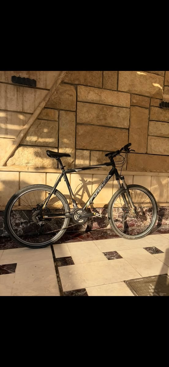 السلام عليكم
للبيع ORBEA🌟
حجم الفريم XL
حجم التاير 26 
دبل امامي SR SUNTOUR 
سستم اسيرا 8x3

السعر 225 الف🌟
للتواصل/***********☎️
مكاني بغداد زيونة 710📍
متوفر توصيل جميع انحاء العراق🚚
