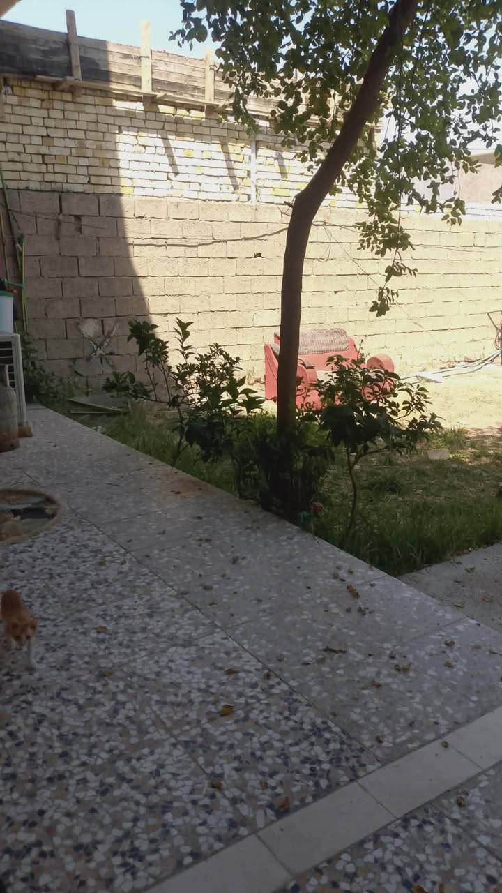 السلام عليكم
بيت للبيع 250 متر سند 25 منطقة العريفية شارع محطة المياه حديقة جبيره الطابق الاول مطبخ استقبال صاله غرفة نوم منور مع ملحقات الطابق الثاني 3 غرف نوم السعر 105 بيه مجال للاستفسار ***********
