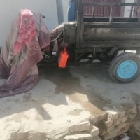 ستوته • ٢٠٢٠ • كيف عيال