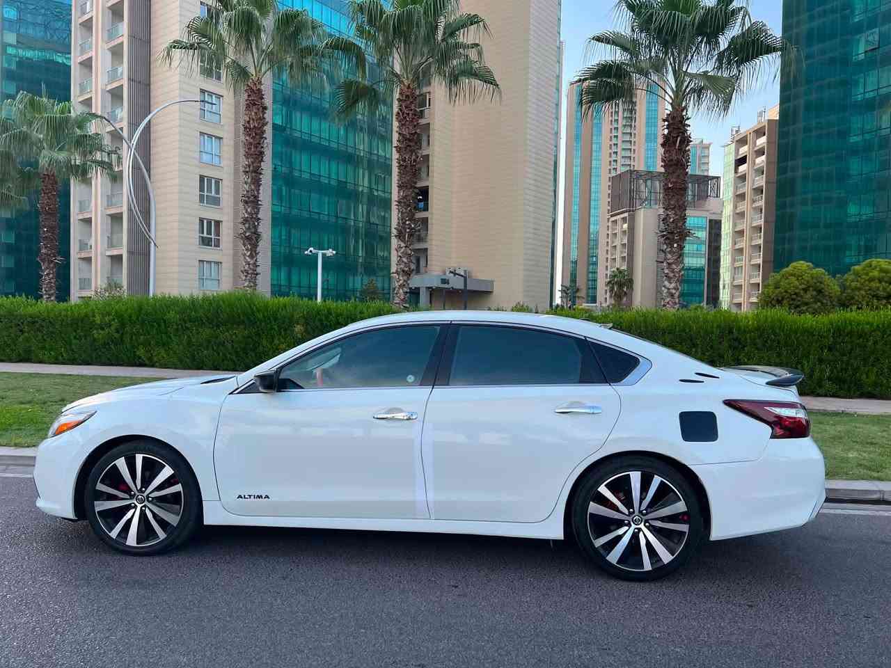 التيما • ٢٠١٧ • بوياج جديد