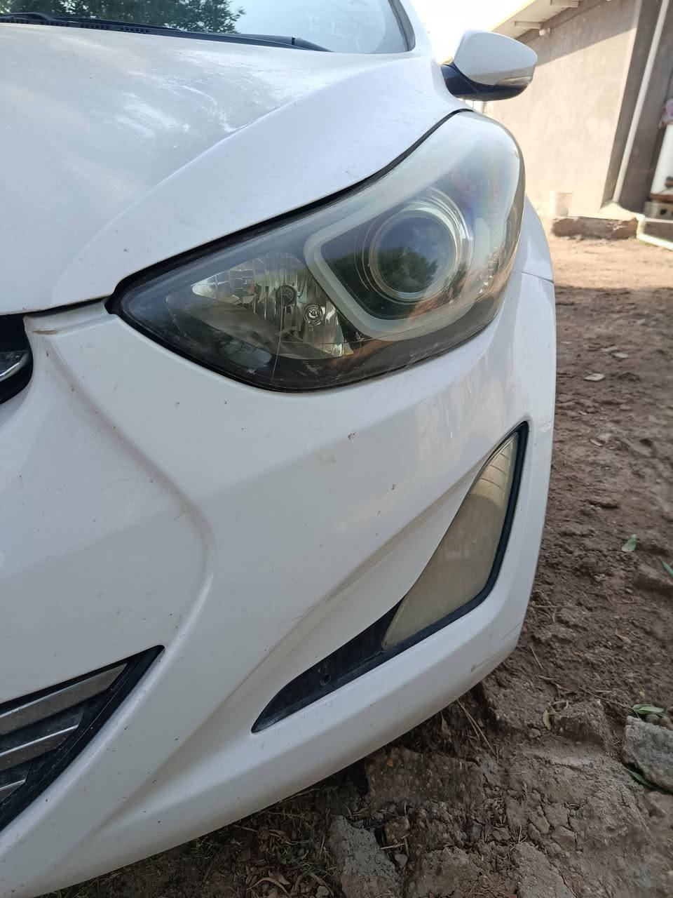 الانتره • ٢٠١٥ • مكفولة