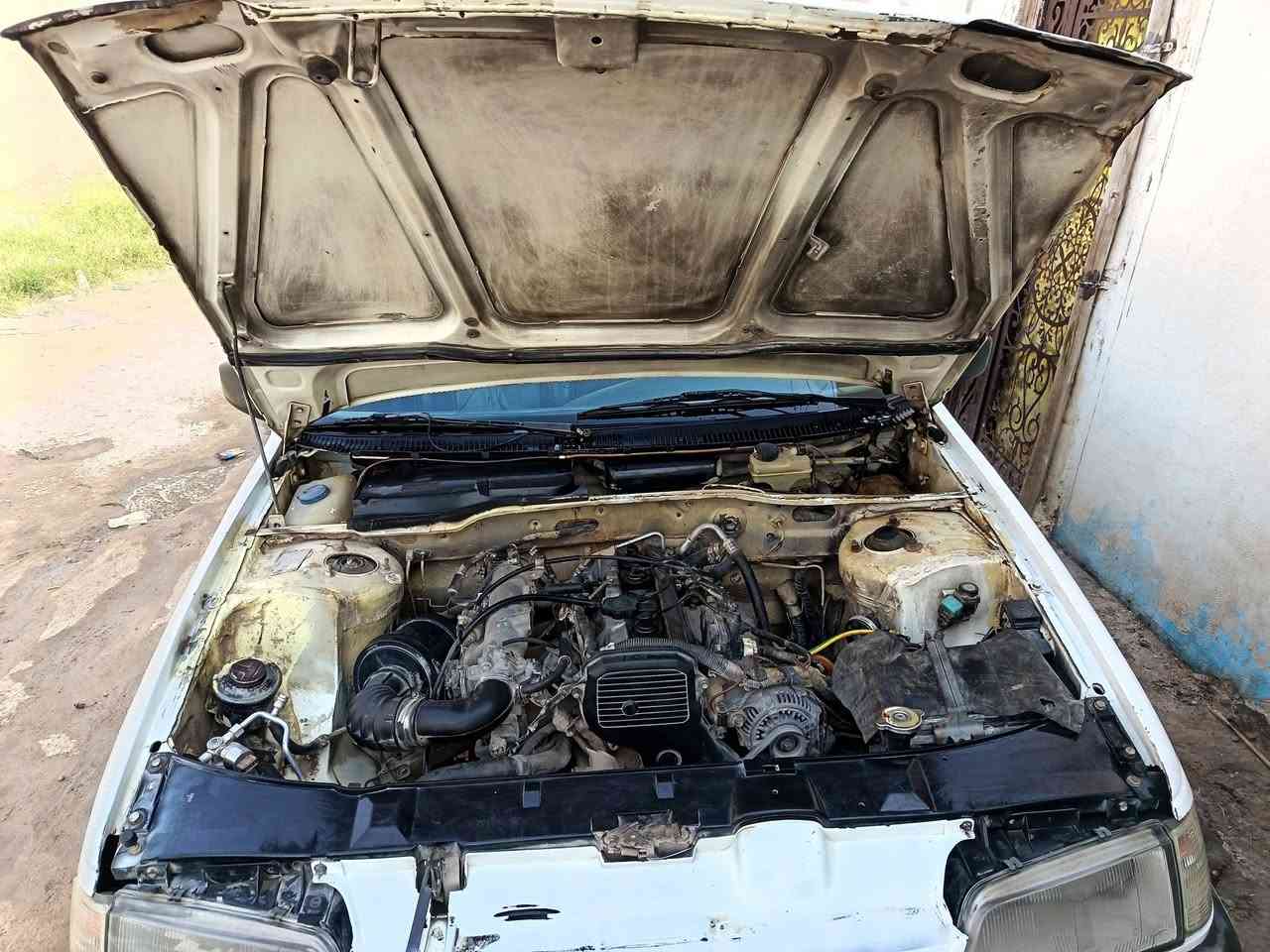 ٢٠٠٩ • اوتو • النجف البراكيه