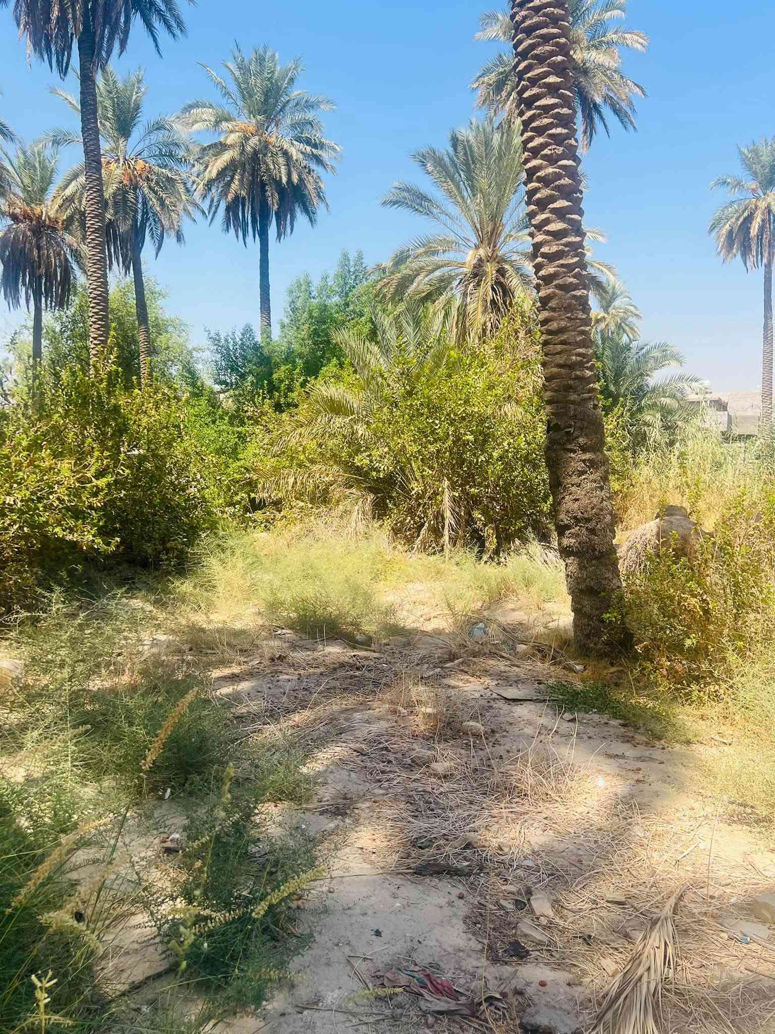 سلام عليكم قطعه ارض للبيع
📍  المدائن حي صحه 1200م 
📝طابو سند 25 تتحول باسمك 
سعر جدا مناسب  ترهم ستثمار 
اتصل ع رقم الهاتف الاستفسار ***********📱📞واتساب
