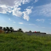 نص دونم • طابو زراعي • ماء وكهرباء