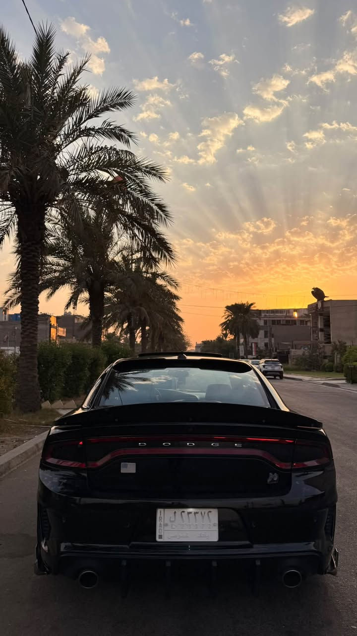 للبيع جارجر سكات باك وايد بدي اصل 392 🚀
موديل 2022 كلين تايتل بدون حادث و إيرباك 🔥
الجاملغ و الويل البلادي و الدعامية نفسه مشدود
مكينة v8 / 6.4L
الممشى / 38 الف ميل حقيقي
السيارة بأسم مالك واحد من الأستيراد لهذا يومنه 
لا نازلة استعراض و لا تفحيط 
فوول مواصفات كلشي بيها بلادي 
كير مكينة ايرباك شاصي لغد تبديل صبغ حدادية اكسل كلهن كفالة
على وضع الشركة 
عدا الاكزوز تفريغ كامل و سستم اكزوز يم علي الوادي
و طلقات صوتها رررعب 
لايتات اورايگل
و لا گلوب  مشتغل بالدشبول السيارة على وضع البلاد 
تجي و تشوف بعينك
المواصفات :
١- فتحة سقف 
٢- كشنات كنتارا و جلد حضن مختم سكات 
٣- تدفئة و تبريد كشنات امامية و خلفية تدفئة
٤- ميموري سيت و ترحيب ستيرن و كشن 
٥- لانج كونترول و وضعيات قيادة 
٦- سستم صوت الباين 
بعد هواي مواصفات معروف الفول مال جارجر 

السيارة جاهزة من مل النواحي 
سعر السيارة / 299 ورقة و بيها مجال للشراي 
مكاني بغداد  / السيدية
*********** محمد عرب
