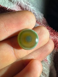 سليمانيات • توصيل • واتساب