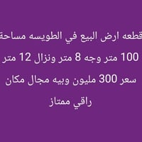 الطويسه • ١٠٠م • وجه ٨م