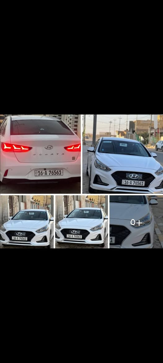 سوناته • غاز بلد • ٢٠٢٣