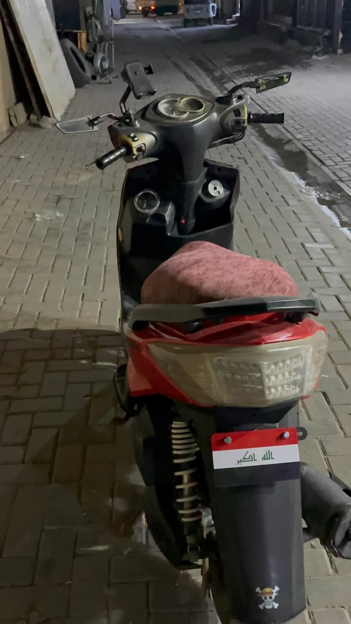 سكنس فحل • نضيفه • زينون اصلي