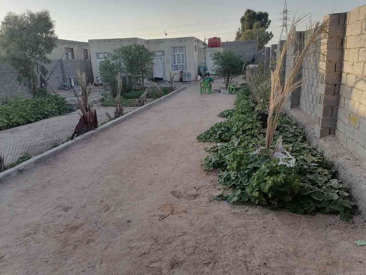 المساحه  525  متر  // بي غرفه وصاله ومطبخ وستقبال وتخاريج والباقي حديقه للبيع بطريق يا علي عمود 149 قريب الشارع كربلاء نجف السعر 45 /// ***********
