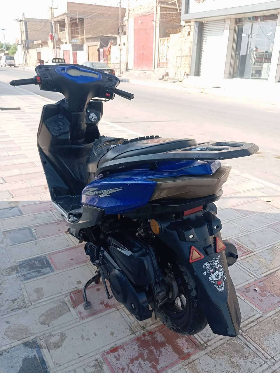 سكنس • ياباني • ٢٠٢٣