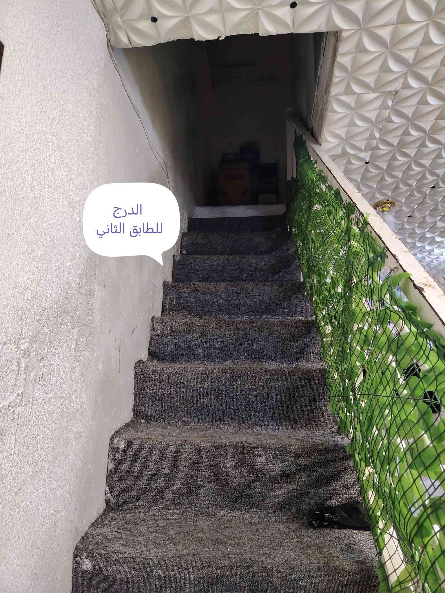 بيت 50  متر طابقين  للايجار  
الطابق الأول ( هول و مطبخ جبير وترك خلفي وصحيات) 
الطابق الثاني ( غرفتين وحده منهن بيها حمام وهول زغير بيناتهن )  لطفا كون عائلة زغيره و ايجاره  250  قفل  سكينه شارع شعلان ابو الغاز ع الشارع العام ***********

نص مكتوب في الصور:
- الهول
- حديقة داخلية
- ممر اتجاه الصحيات
- صحيات الطابق ١
- المطبخ
- باب الترك الخلفي
- حولي بين الغرفتين طابق ٢
- الدرج للطابق الثاني