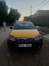كورلا نحلة • ٢٠٠٨ • فلوجة
