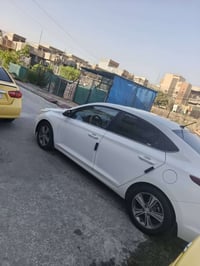 اكسنت ٢٠١٩ • رقم اربيل • شرط تحويل
