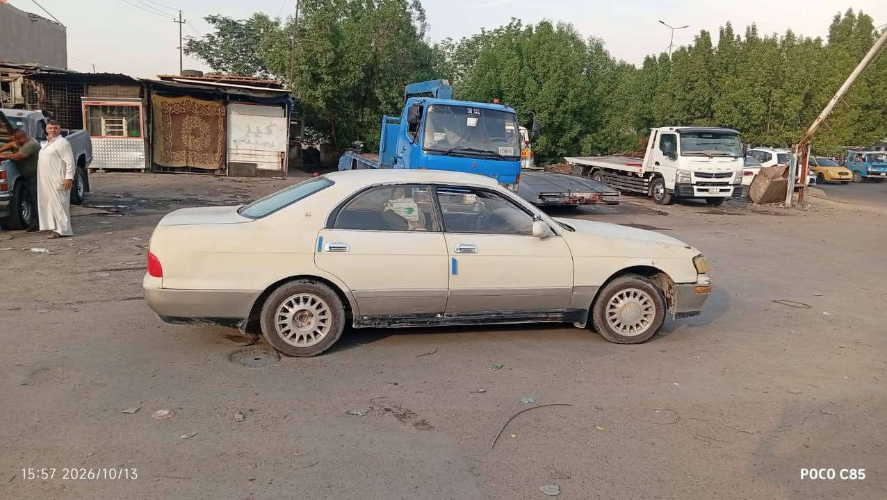 بطه • ابيض لؤلؤي • بغداد البياع