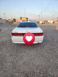 شيزر نفخ • ١٩٩٢ • رقم نينوى