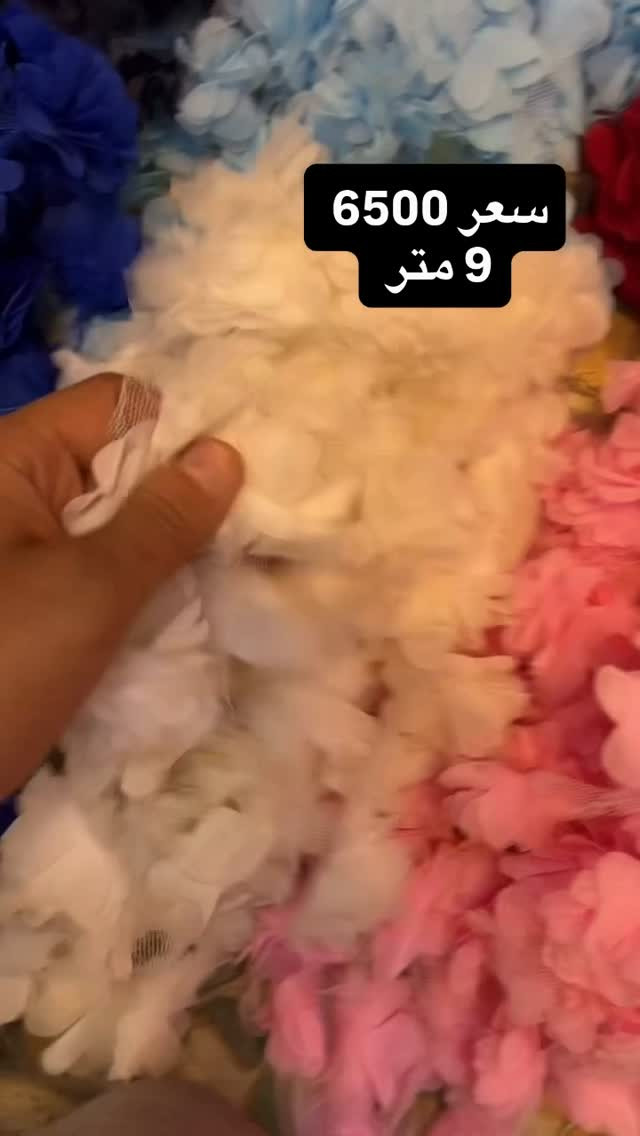ورد دنفش • ٩ متر • ورد طبيعي