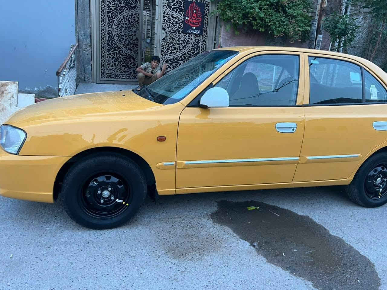 فيرنه • ٢٠١٤ • بغداد البلديات