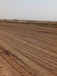 بين الحفار والجذع • ١٢٧ إلا ربع دونم • حصة ماء