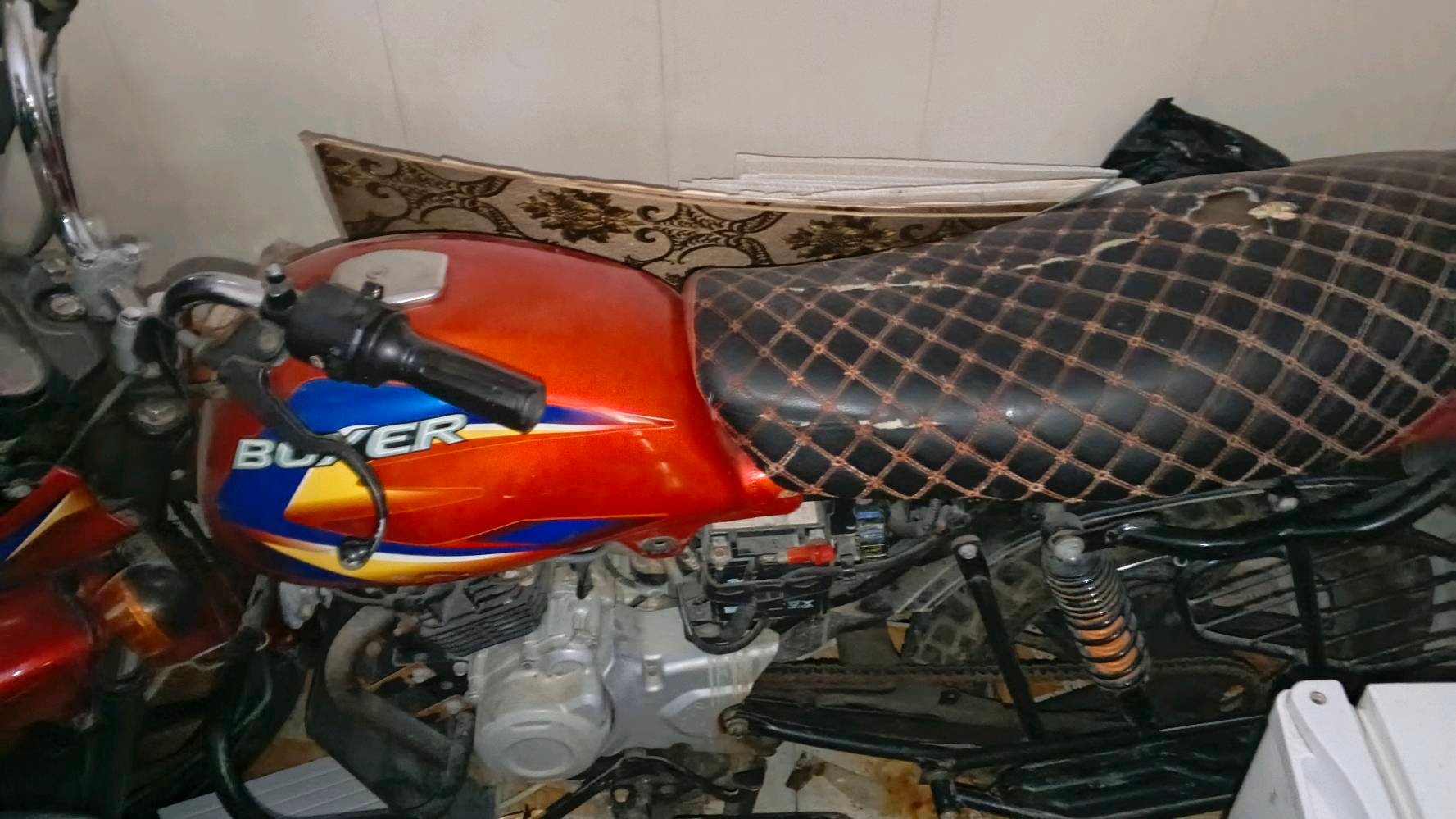 بوكسر • رياضي • ٢٠٢١