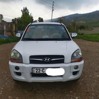 توسان • ٢٠٠٩ • بدون صبغ
