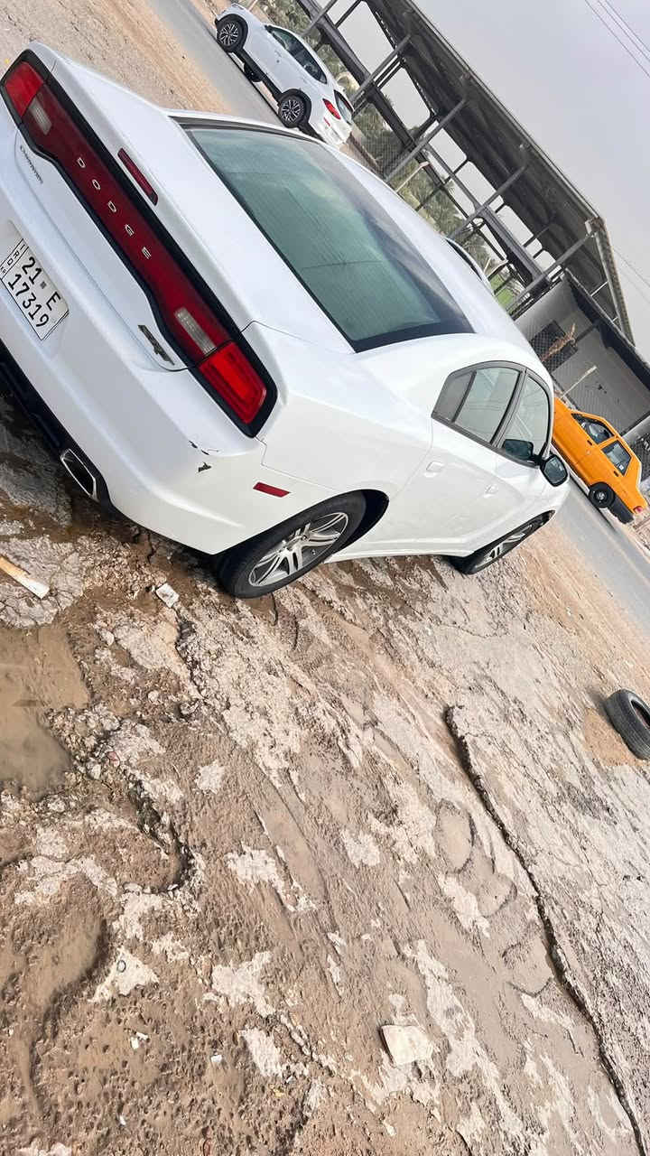جانجر • ٢٠١١ • كفالة