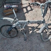 دريل هيلتي • بايسكل ياباني • خشب نفرين
