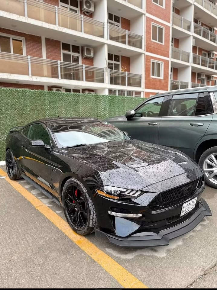 موستك GT • V8 5.0 • ضرر خلفي