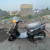 عصفورية • ٦٠ • سلف