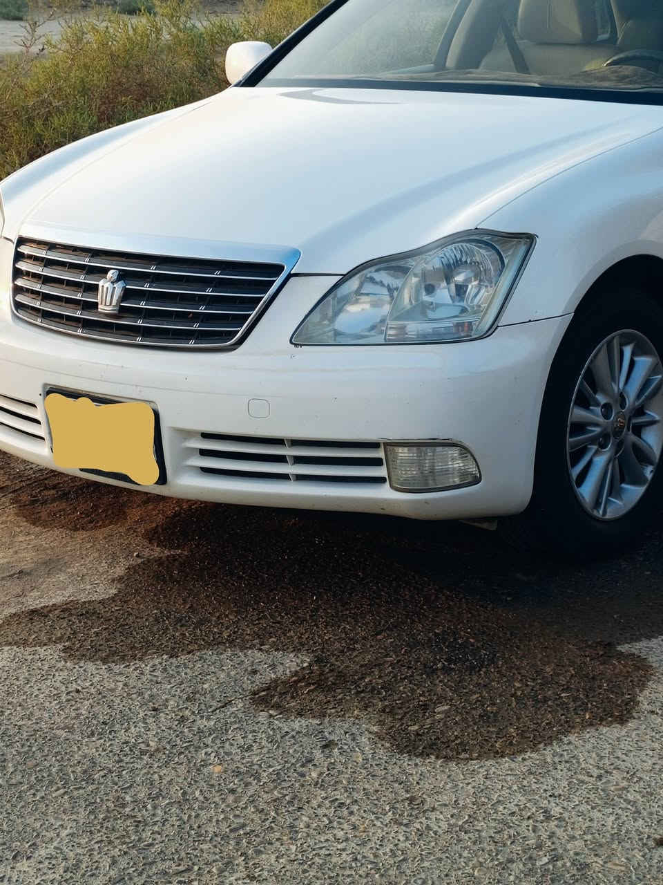 شاهينه • ٢٠٠٤ • مكينه وكير جديد