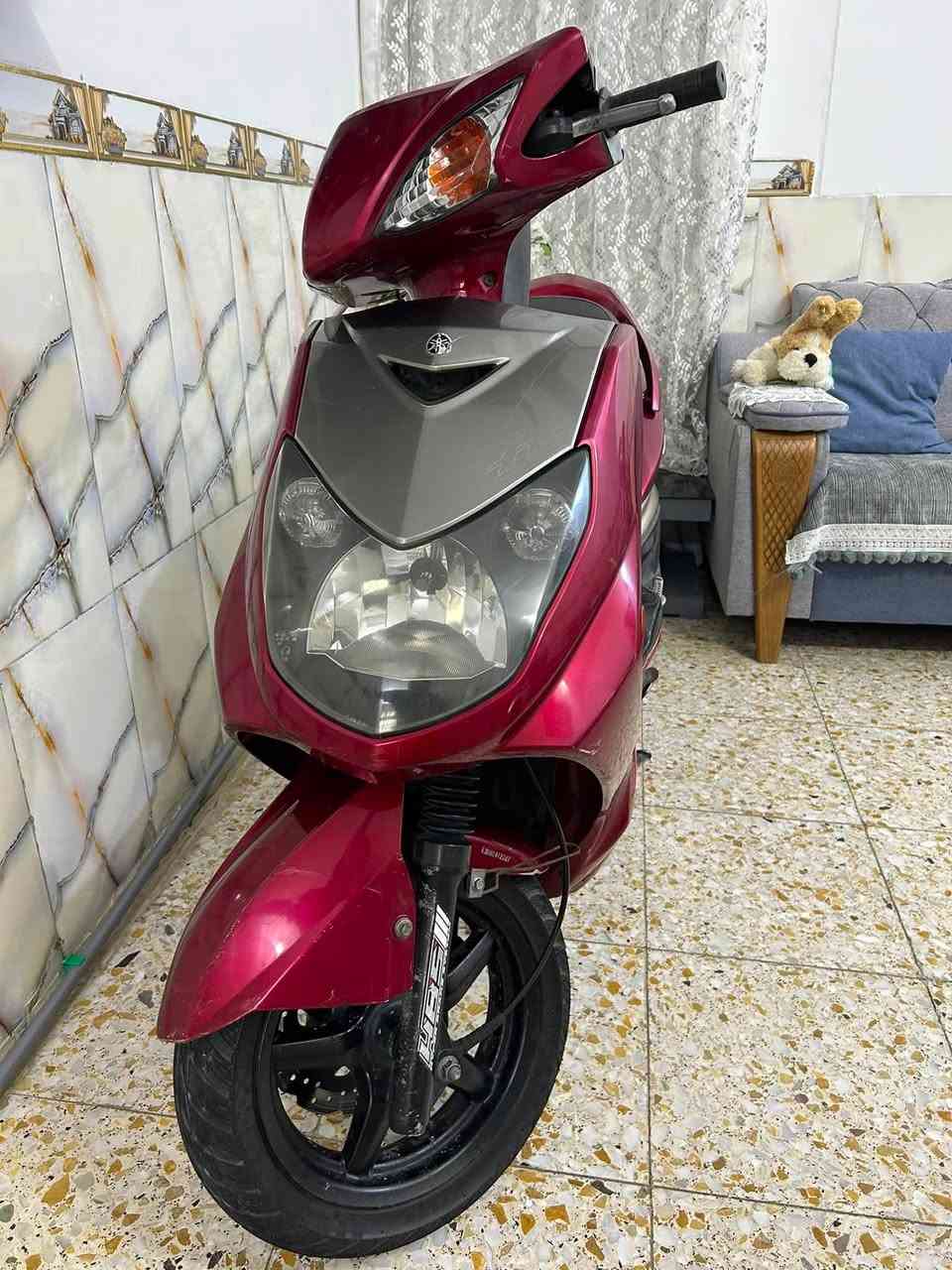 سكنس فحل كوري طلاعات نوزل خطين ماشيه 23 الف دراجه كڤرات بلاديه مختمه حلوه بلاديه شرط شلعه ومعدل مكينه ممفتوحه الله شاهد بانزين محسن ودهن يورل اخلي بگلايت لد عنوان الشعب الثعالبه هـ/ *********** السعر 800 وبيه مجال او مراوس جي تي ار
