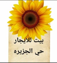 حي الجزيره • ٥٠م • غرفة وصالة