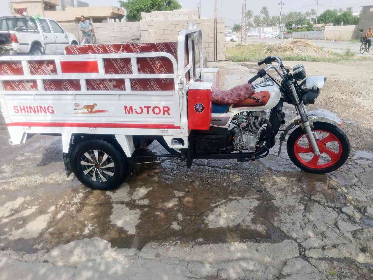 ستوته • موديل ٢٠ • اوراق جنوبي