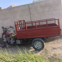 ستوته • صقر • 2019