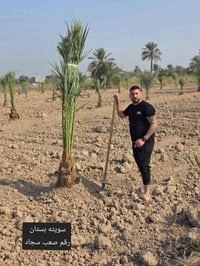 قص النخيل • تنظيف الحدائق • نقل النخلة