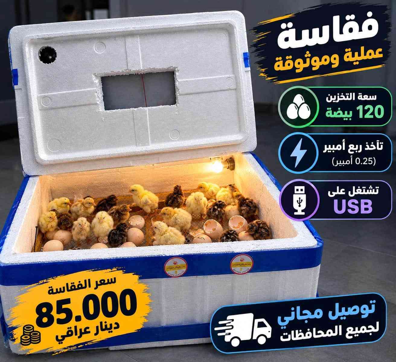 🐣🔥 فقاسة بيض بسعة 100 إلى 120 بيضة 🔥🐤
💡 تشتغل بربع أمبير ⚡ 🔋 تشتغل على اليو بي إس والعاكسة والبطارية ✅ 🥚 سعة الفقاسة من 100 إلى 120 بيضة 🚚 توصيل مجاني إلى جميع المحافظات 🇮🇶
💰 السعر: 85,000 دينار فقط 🔥
🐤 نبقى وياكم خطوة بخطوة لحد ما يكتمل التفقيس ❤️ 📦 دعم ومتابعة حتى تحصل أفضل نتائج بالتفقيس ✅
📩 للطلب والتثبيت: أرسل رقمك وعنوانك على الخاص 📲
🔥 لا تفوّت الفرصة، وابدأ مشروعك بتفقيس البيض من البيت! 🐣💰
#فقاسة_بيض #فقاسات #تفقيس_البيض #مشروع_من_البيت #مشاريع_صغيرة #بيض_دجاج #تربية_الدواجن #العراق

نص مكتوب في الصور:
- فقاسة بيض بسعة 100 إلى 120 بيضة تحكم دقيق في الحرارة والرطوبة تقليب تلقائي للبيض مناسبة لجميع أنواع البيض كفاءة عالية في الفقس السعر 85,000 دينار فقط للطلب والاستفسار ***********
- فقاسة بيض بسعة 100 إلى 120 بيضة
- • سعة كبيرة 100-120 بيضة
- • تحكم دقيق في الحرارة والرطوبة
- • تقليب أوتوماتيكي للبيض
- • نسبة فقس عالية
- • توفير طاقة ممتاز
- السعر:
- 85,000 دينار فقط
- للتواصل والحجز: ***********
- فقاسة عملية وموثوقة
- سعة التخزين 120 بيضة
- تأخذ ربع أمبير (0.25 أمبير)
- تشتغل على USB
- سعر الفقاسة 85.000 دينار عراقي
- توصيل مجاني لجميع المحافظات
